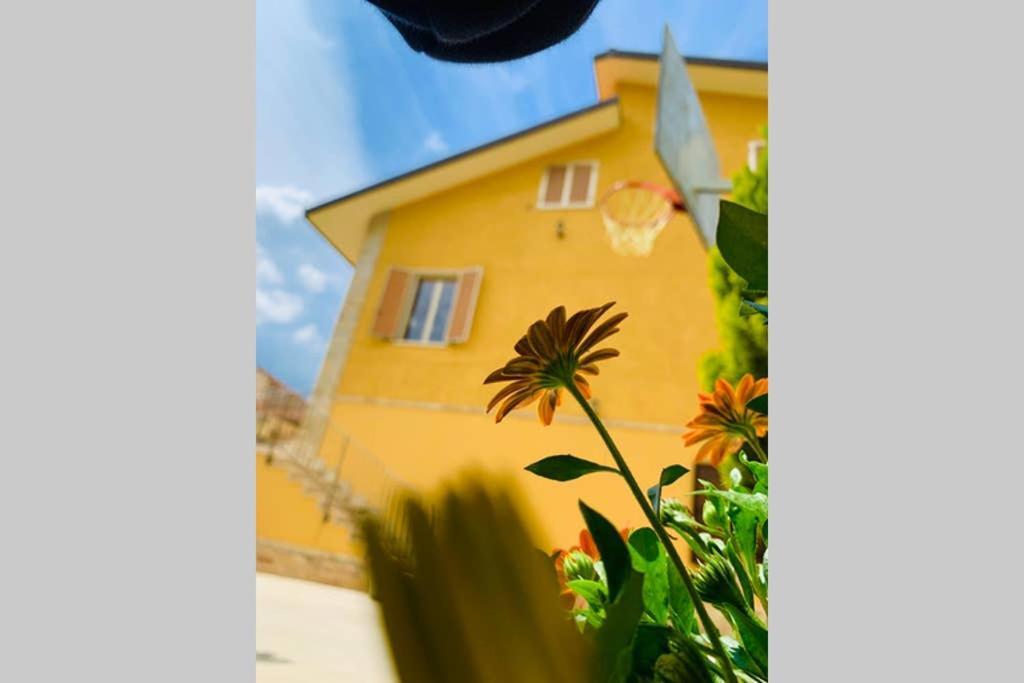 Flowery House Miglianico المظهر الخارجي الصورة
